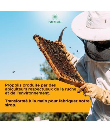 Propol-Mel - Organic Propolis Syrup | 250ml | Natural Antiseptic and Anti-inflammatory | For Cough and Mucus in the Throat | Gluten Free | Thins Mucus | Lubricates the Throat - Buy Online on GoSupps.com