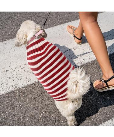 AMAONE Chihuahua Dog Coat Leopard Bowknot Winter Jacket for Small Dogs XS Size - Buy Online on GoSupps.com