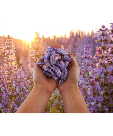 Buy EM-ACCAL Sale Soothing Herbal Blend 75g Aromatic Sage & Essential Oils with Vitamin C Fresh & Natural | International Shipping Available - Buy Online on GoSupps.com