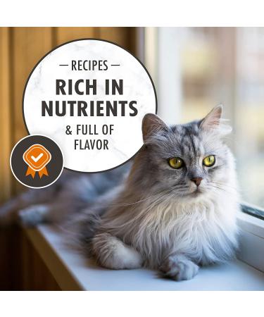 Nutro Wholesome Essentials Indoor and Sensitive Digestion Dry Cat Food  Chicken Indoor Adult 5 Pound (Pack of 1) - Buy Online on GoSupps.com