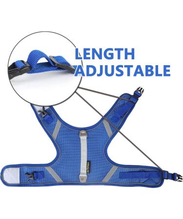 Cat Leash with Dishes - Reflective Patrols & Breakout Safety for Cats | International Shipping - Buy Online on GoSupps.com