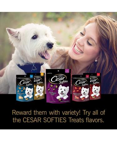 Cesar Softies Filet Mignon Dog Treats 1.13 lb - Delicious Soft Dog Treats - Buy Online on GoSupps.com