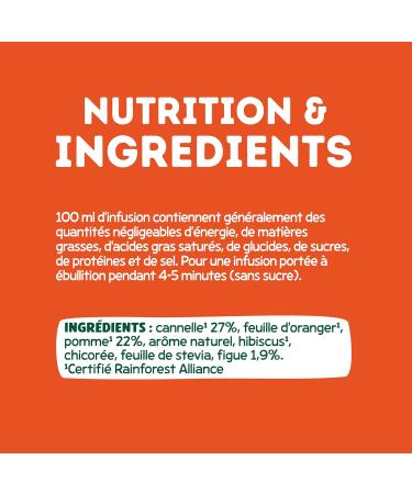Elephant Infusion Apple Cinnamon and Fig Rainforest Alliance Certified 100% Natural Origin Ingredients 20 Pyramid Bag - Buy Online on GoSupps.com