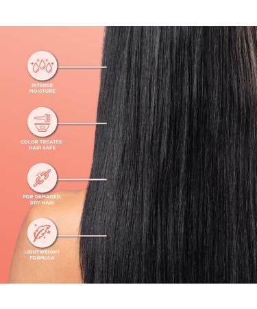 ORLANDO PITA PLAY Salon Size Silk Slip Conditioner - Best for Textured Damaged & Color-Treated Hair - 27 Fl. Oz. - Smooths Detangles & Controls Frizz - Buy Online on GoSupps.com