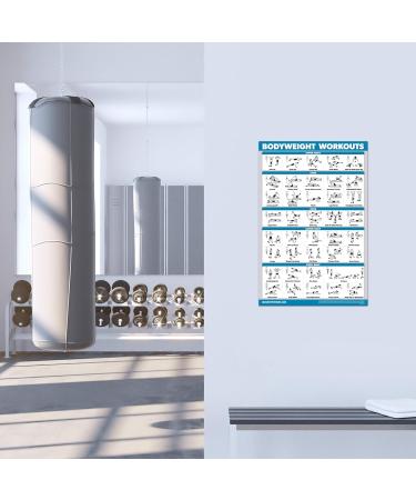 Quickfit Dumbbell Training & Body Weight Exercise Poster - Laminated 2 Diagrams 45.7 x 68.6 cm - Ideal Fitness Routine Guide for Home Workouts - Buy Online on GoSupps.com