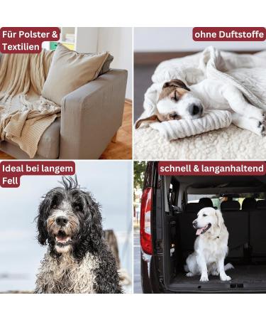 Deodog Odor Neutralizer | Eliminate Stubborn Pet Smells | Safe for Homes Cars & Pets | Cat Urine Dog Urine & Vomit Remover - Buy Online on GoSupps.com