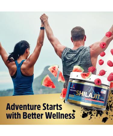 A1 Body Fuel Gummies Gold Resin Extract with Fulvic Acid Sugar-Free Supplement for Energy Vitality & Immune Support Vegan Non-GMO 90 Count 45 Day Supply for Men & Women - Buy Online on GoSupps.com