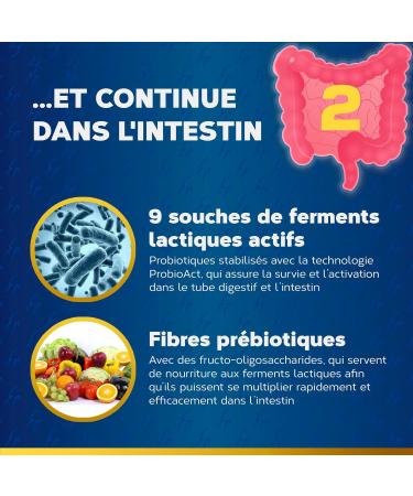 Digestive Enzymes Pure Essence | With Probiotics Intestinal Flora and Prebiotic Fiber | Lactobacillus Salivarius Lactase | 18 Plant Enzymes | 80 Api-Nature Capsules - Buy Online on GoSupps.com