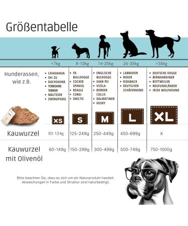 Petlove Natural Chewing Roots for Medium Dogs with Olive Oil - 100% Natural Chewing Wood & Minerals | Perfect for Healthy Chewing (301-500g) - Buy Online on GoSupps.com