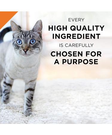 Purina Pro Plan Entrees in Sauce Adult Wet Cat Food - Seafood Stew (24 Pack, 3 oz. Cans) - Buy Online on GoSupps.com