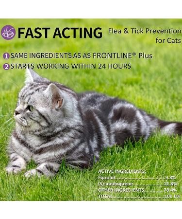 Fipronil Cat Flea & Tick Control - Long-Lasting Treatment for Kittens - 3 Doses - Buy Online on GoSupps.com