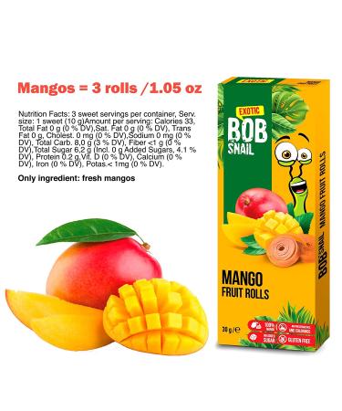 Healthy Fruit Snacks Variety Pack - 20 Individual Packs of Gluten-Free Vegan Fruit Bars with Natural Flavors for Kids and Adults - No Sugar Added - Buy Online on GoSupps.com