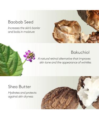 S'ABLE LABS - Baobab Moisturizer | Replenish Rejuvenate Restore | Niacinamide + Tranexamic Acid | Melanin-Inclusive Skincare (50 mL | 1.7 fl oz) 1.7 Fl Oz (Pack of 1) - Buy Online on GoSupps.com