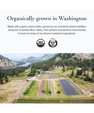 evanhealy Blood Orange HydroSoul | Organic Copper Distilled Citrus sinensis Fruit Hydrosol | Soften Smooth & Purify Oily Combination Dull & Devitalized Skin | Juicy Sweet Radiant - Buy Online on GoSupps.com