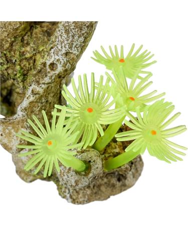 Nobby Aqua Ornaments Coral with Plants - 11x7x8.5 cm Ideal for Aquarium D cor | International Shipping - Buy Online on GoSupps.com