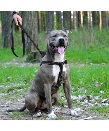 Collardirect Reflecting Dog Harness - Adjustable Sizes S M L for Outdoor Walks - Available in Pink Black Red Purple Mint Green Orange Blue & Lila - Buy Online on GoSupps.com