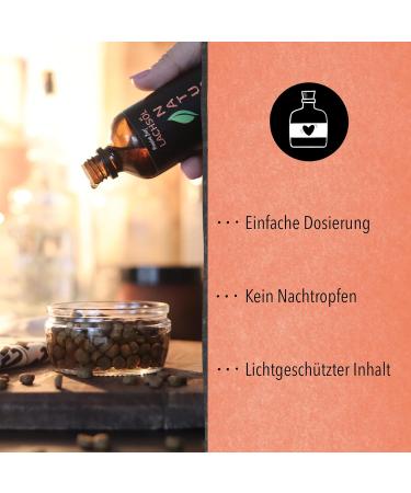 Premium Salmon Oil for Dogs & Cats - 100ml Glass Bottle | Rich in Omega 3 & 6 | Pure Additive-Free | Freshly Made in Germany - Buy Online on GoSupps.com