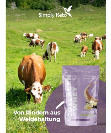  Simply Keto Vanilla Collagen & Whey Protein Powder Keto & Lower Carb Shake 22g Protein 0.5g Net Carbs Gluten-Free Sweetened Stevia Pasture-Raised | 15 Servings - Buy Online on GoSupps.com