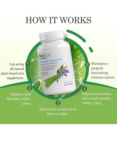 AloeCure Aloe Vera Capsules 2 Pack - VeraFlex 1btl, Probiotcs+Enzymes 1btl - Buy Online on GoSupps.com