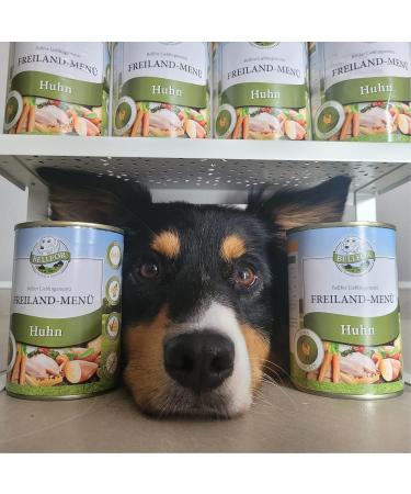 Bellfor Grain-free Poodle Food Kit 400 g and Dry Food with Chicken 2.5 kg and Soft Snacks 200 g with Food Additive for Skin and Coat Care 80 g - Buy Online on GoSupps.com