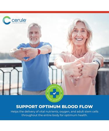 Cerule Plasmaflo Blood Flow and Circulation Support Supplement Vascular and Heart Health Formula with Enzyme Blend Gotu Kola Ginkgo Biloba Sea Buckthorn and Antioxidants 60 Vegetarian Capsules - Buy Online on GoSupps.com