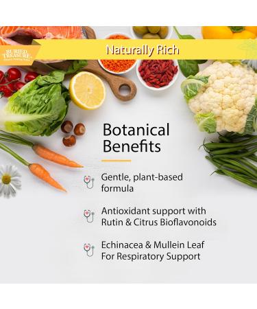 Buried Treasure Children s ACF Dose Liquid Immune Support for Kids Elderberry, Echinacea & Botanicals Raspberry Flavor, 16 oz with Dose Cup - Buy Online on GoSupps.com