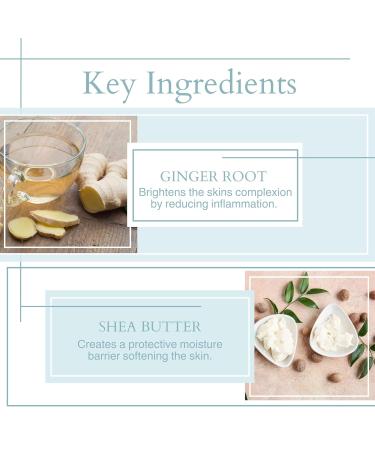 2 Minute Miracle Face Moisturizer - Ice Elements with Tri-Moisture Cryo Complex | Fast International Shipping - Buy Online on GoSupps.com