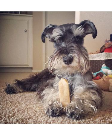 EcoKind Pet Treats Gold Yak Dog Chews 1 lb. Bag | Grade A Quality, Healthy & Safe Chew Treats for Dogs - Odorless, Long-lasting, Indoors & Outdoors - Buy Online on GoSupps.com