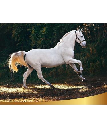 Natural Dry Shampoo for Horses - 500ml | Quick & Effective No-Rinse Cleaning | Suitable for All Manes - Linea 101 - Buy Online on GoSupps.com