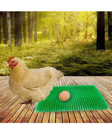 8 PCS Chicken Nest Box Pads - Washable Reusable Egg Laying Nest Liners, Ducks Supplies, Comfortable Coops Accessories - GREEN - Buy Online on GoSupps.com