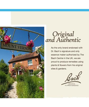 Bach Chicory Flower Essence 20mL: Unconditional Love, Holistic Wellness Relief - Vegan & Natural - Buy Online on GoSupps.com