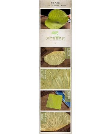 Infinitely Great Home Decor Center 500g dried lotus leaves for cooking Asian rice and food - Buy Online on GoSupps.com