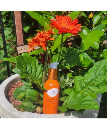 Skincare Orange Blossom Cleanser Daily Foaming Face Wash with Grapeseed Oil | 4 fl. oz International Shipping Available - Buy Online on GoSupps.com
