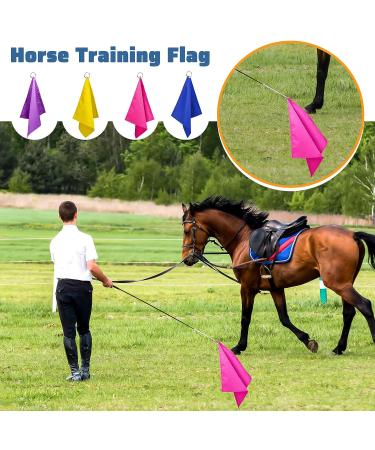 Equestrian Training Flags 4-Piece Set | Nylon Flags for Horse Training | Yellow Pink Purple Dark Blue - Buy Online on GoSupps.com