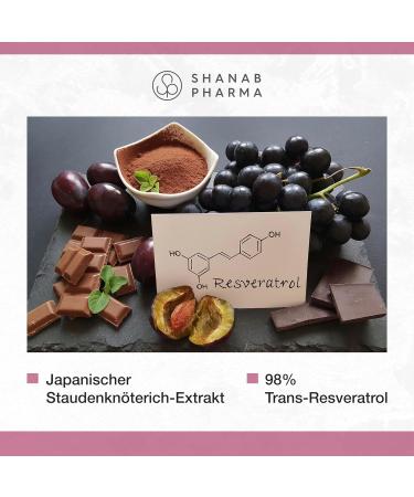 Buy Resveratrol Powder - Premium Japanese Knotweed Extract - 80g Micronized Powder by Shanab Pharma - International Shipping Available - Buy Online on GoSupps.com