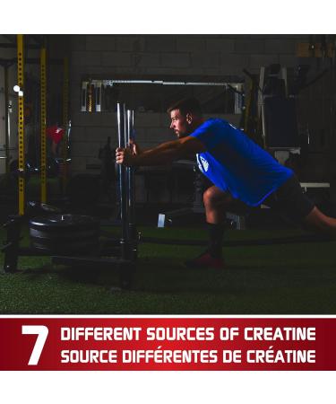 Predator Labs - Dragons Blood -Ultimate Creatine Blend 245g - Complexe synergique qui fournit sept types diff rents de cr atine dans un m lange qui aide la croissance musculaire l'augmentation de la force l'am lioration de la production d' nergie et la pe - Buy Online on GoSupps.com
