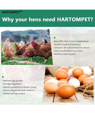 HARTOMPET Dried Black Soldier Fly Larvae - 5lbs & 10lbs - Meal Worms for Chickens & Birds - Poultry Feed Molting Supplement - Oven Dried BSF Larvae 5lb Pack - Buy Online on GoSupps.com