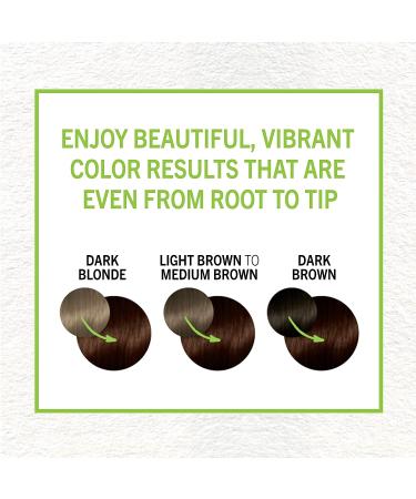 Schwarzkopf Simply Color 3.65 Dark Chocolate Permanent Hair Color - 1 Count - Buy Online on GoSupps.com