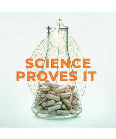 LifeSeasons Visibili-T Eye Health Complex - 60 Vegetarian Capsules for Optimal Vision - Buy Online on GoSupps.com