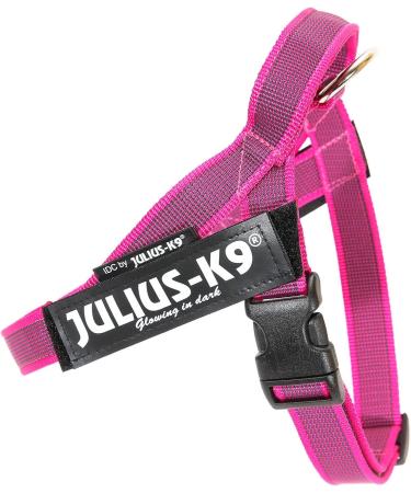 Julius-K9 Belt Harness S/Mini - Color & Gray Pink-Grey | Best International Shipping - Buy Online on GoSupps.com