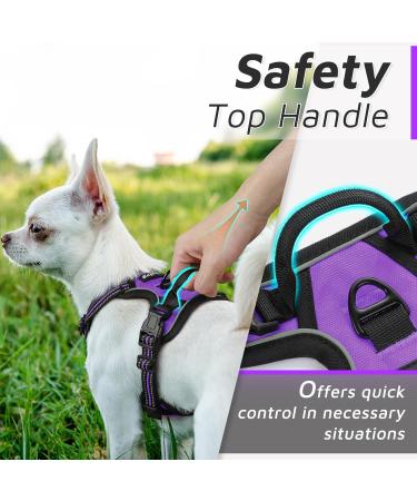 Eagloo Small Dog Harness - Adjustable Anti-Train Harness with Reflex Strips for Walking & Jogging - Durable Purple XS (1 Pack) - Buy Online on GoSupps.com