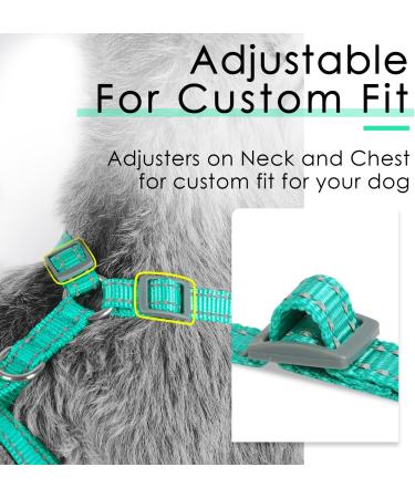 Thinkpet No-Pull Dog Harness & Leash Set | Breathable Adjustable Soft Harness for Small to Large Dogs - 2XS Green - Buy Online on GoSupps.com