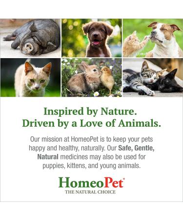 HomeoPet Feline Anxiety Relief - Stress & Anxiety Support for Cats - 15ml - Buy Online on GoSupps.com