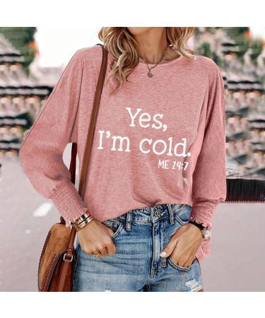 Yihaojia Womens Long Sleeve Round Neck Shirts Basic Tee Cute Graphic Ghost Tunic Tops 2023 Fashion Fall Pullover Blouse Pink#87 Medium - Buy Online on GoSupps.com