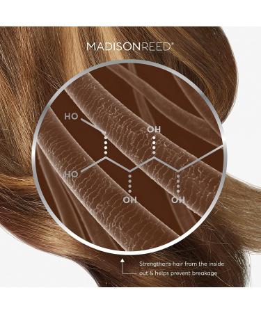 Madison Reed Light Works Balayage Highlight Kit + Bond Building Treatment - Lazio Cool Toffee Brown - Buy Online on GoSupps.com
