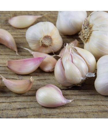 Granulated garlic 500 g - LA PLANTIGO - Buy Online on GoSupps.com