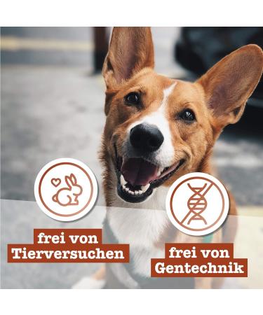 Chewies Hundeleckerli Horse Strips - Low Fat Hypoallergenic Monoprotein Dog Treats - 300g High-Quality Meat Snacks for Dogs - Buy Online on GoSupps.com