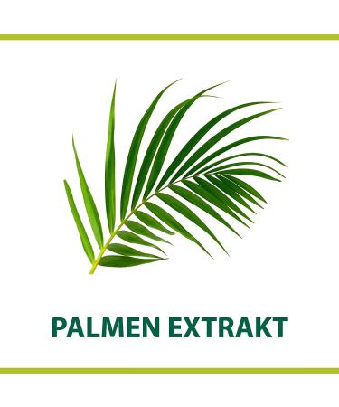 Palmolive For Men Classic Shave Cream with Palm Extract 100ml - Buy Online on GoSupps.com