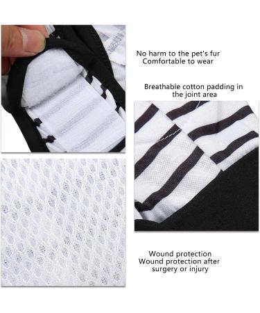 Dog Front Leg Brace Adjustable Easy to Wear Soft Pet Dog Elbow Protector for Postoperative Recovery (XL) - Buy Online on GoSupps.com