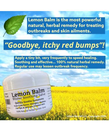 Urban ReLeaf Lemon Balm Salve - Natural Solution to Itchy Blisters, Rashes, and Bug Bites - Buy Online on GoSupps.com